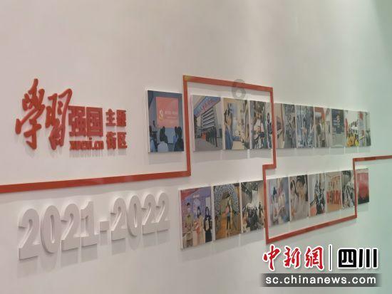 明星都有很多黑料,那很难被黑的明星都有谁?为什么?-专业的问答类网站
